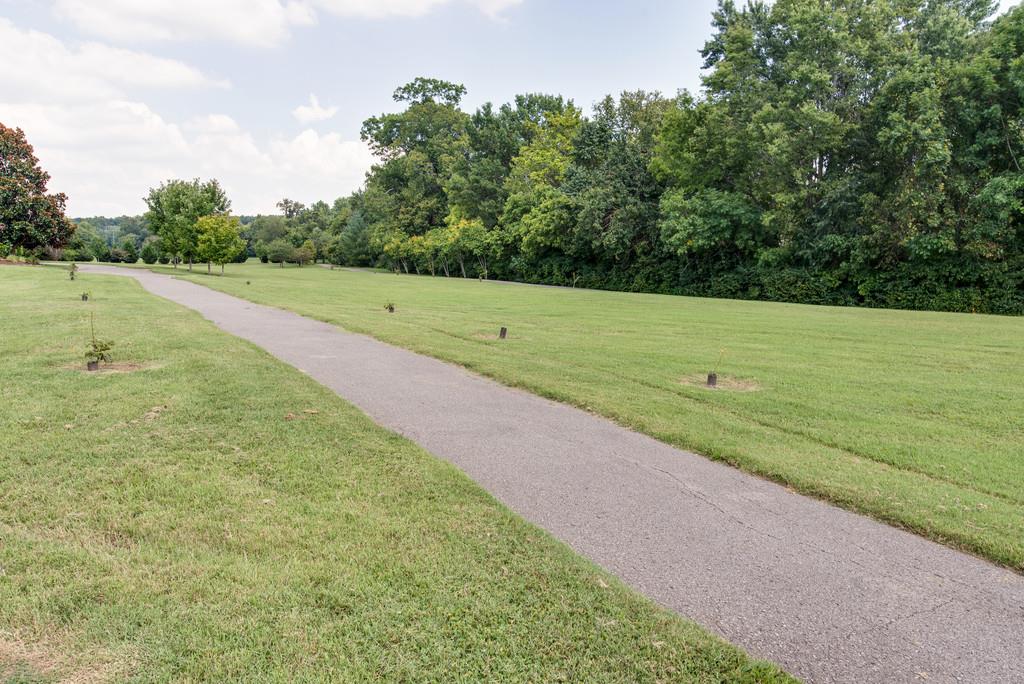 508 Rafe Court Franklin, TN 37064 - Photo 27 of 30 a view of a field with an trees