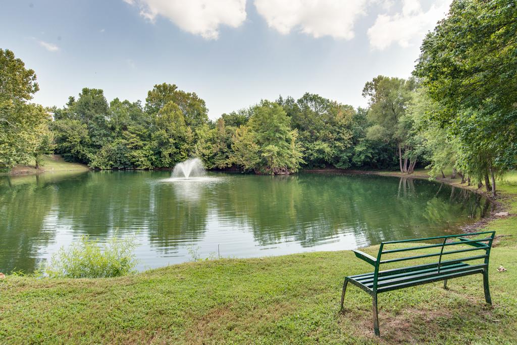 508 Rafe Court Franklin, TN 37064 - Photo 28 of 30 a view of a lake