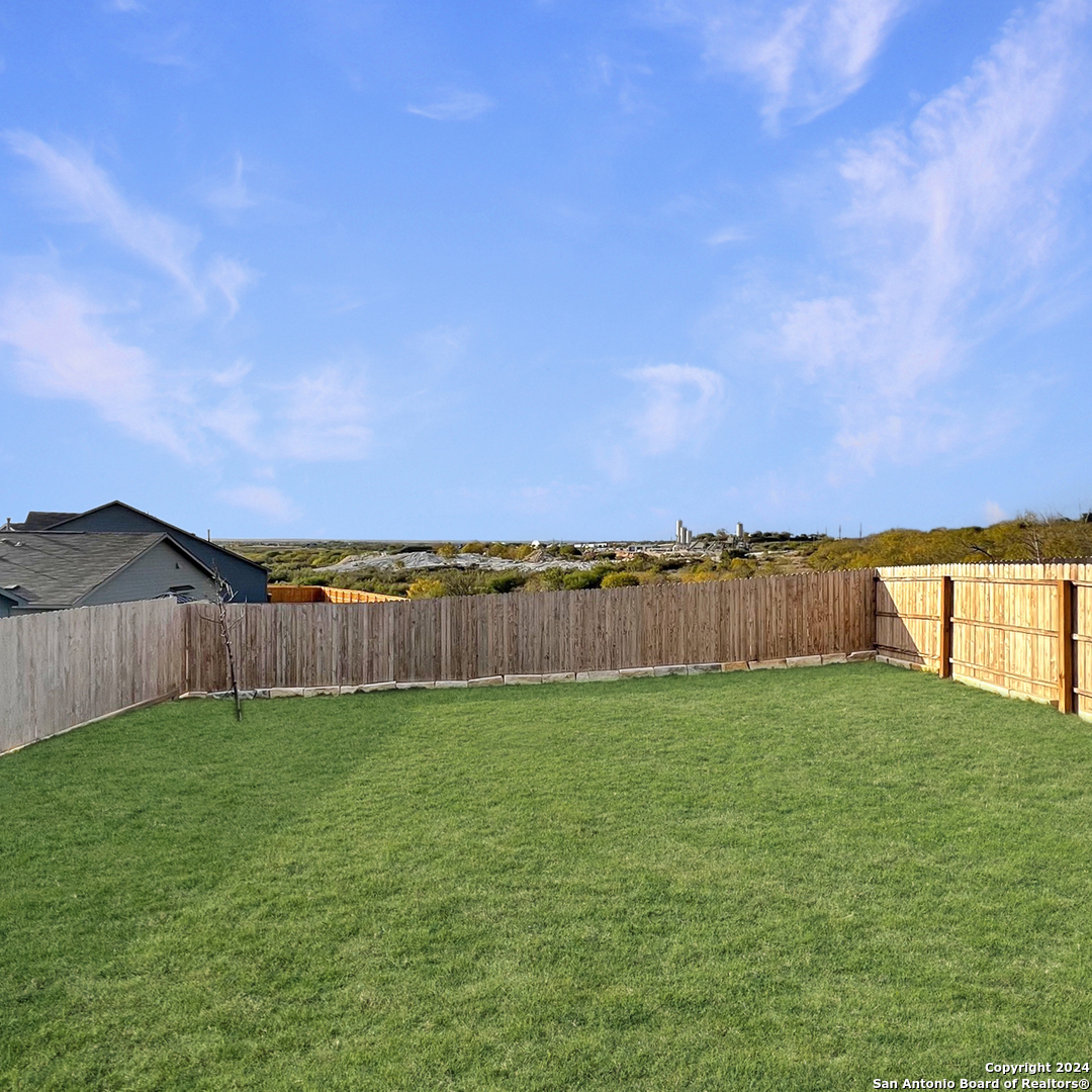 12823 Basil Trace St. Hedwig, TX 78152 - Photo 3 of 25