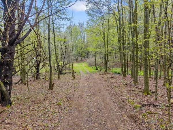 $55,000 | 0 Berry Drive, Lorraine, NY 13659