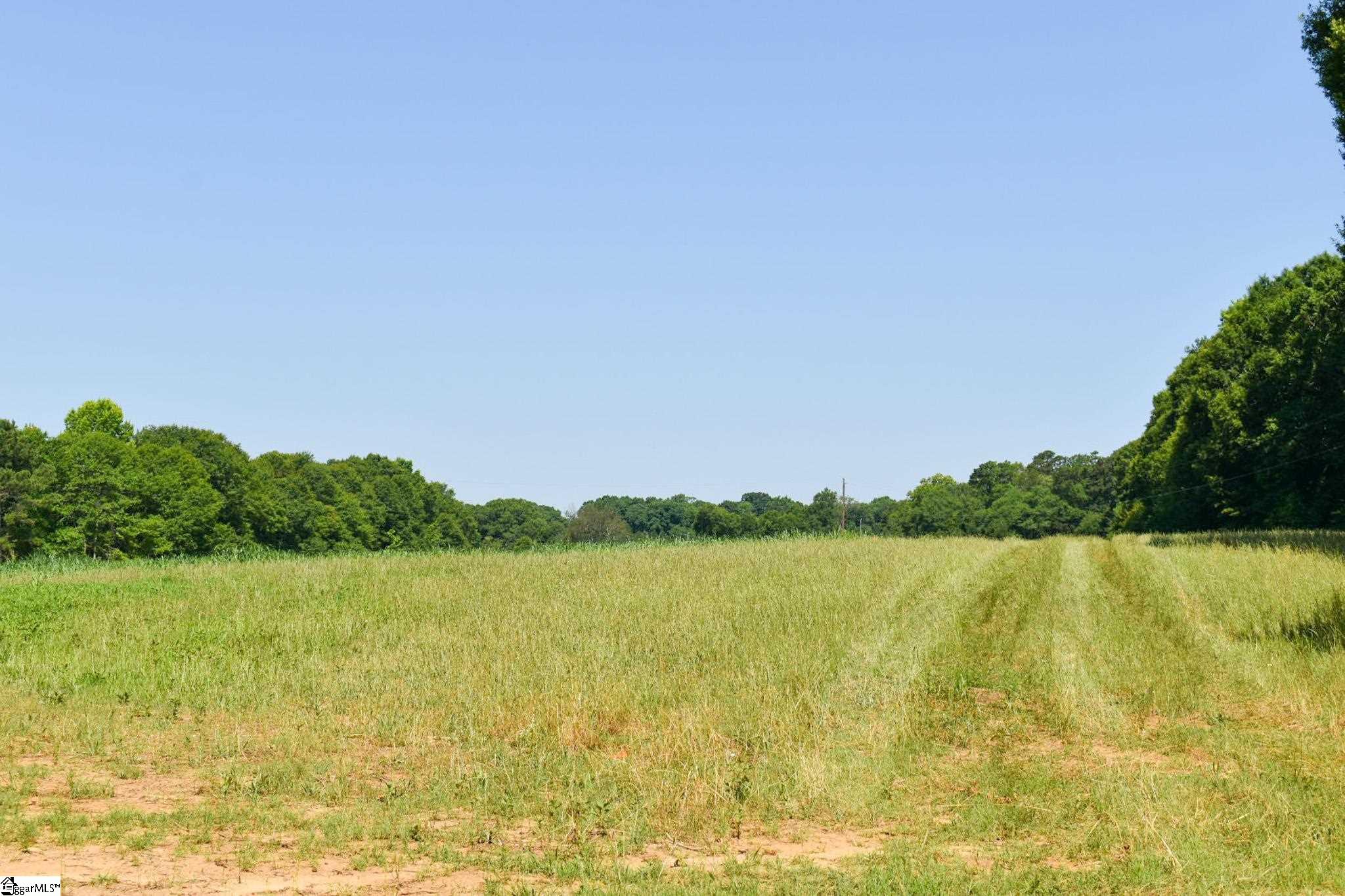 1040 Garrison Road, Unit LOT 12 Pelzer, SC 29669 - Photo 2 of 4