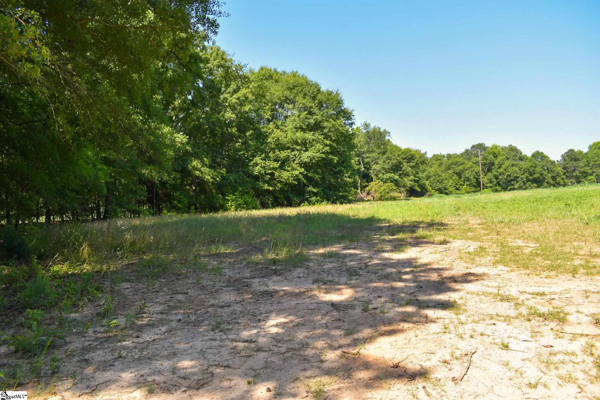 1040 Garrison Road, Unit LOT 12 Pelzer, SC 29669 - Photo 3 of 4