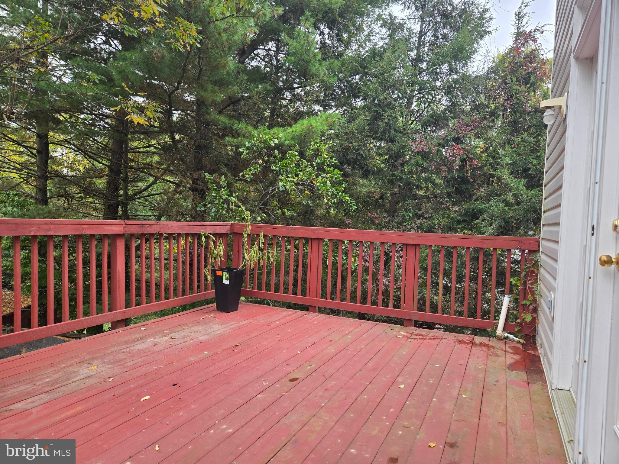 6444 5th Street Alexandria, VA 22312 - Photo 11 of 34 Serene deck surrounded by lush greenery.