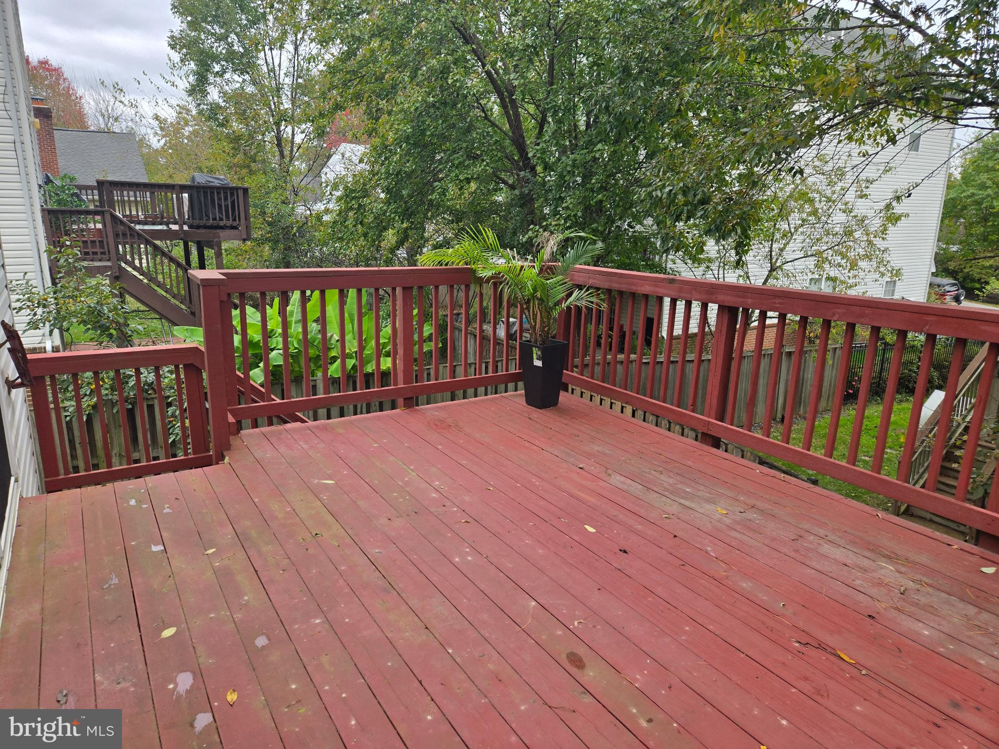 6444 5th Street Alexandria, VA 22312 - Photo 9 of 34 Spacious deck surrounded by lush greenery.