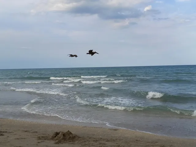 $3,000 | 9960 South Ocean Drive, Unit 502, Jensen Beach, FL 34957