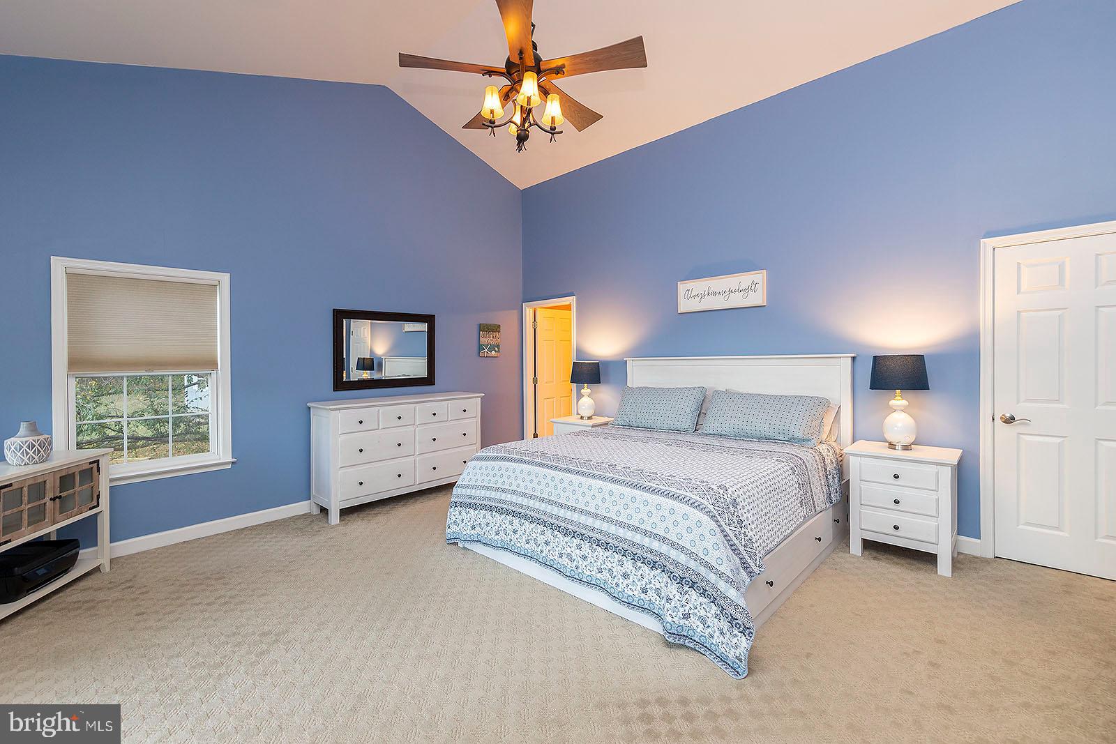 1069 Mitchell Point Road Mineral, VA 23117 - Photo 30 of 77 Primary bedroom w/ vaulted ceiling