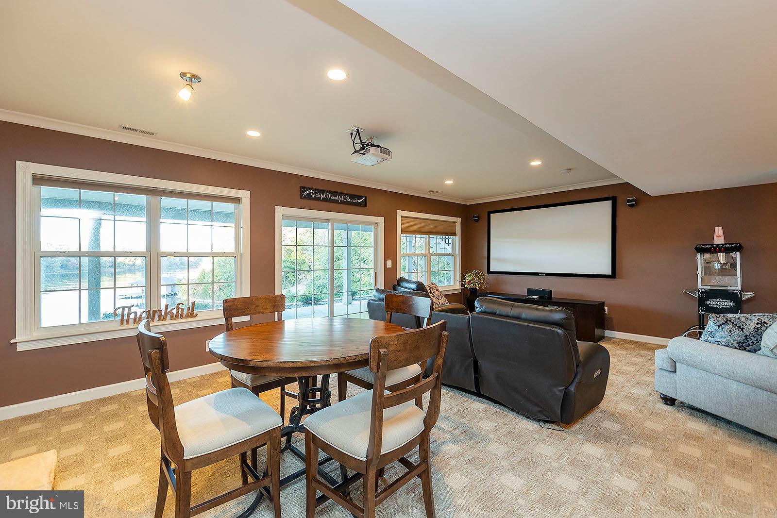 1069 Mitchell Point Road Mineral, VA 23117 - Photo 45 of 77 Projector and screen in basement