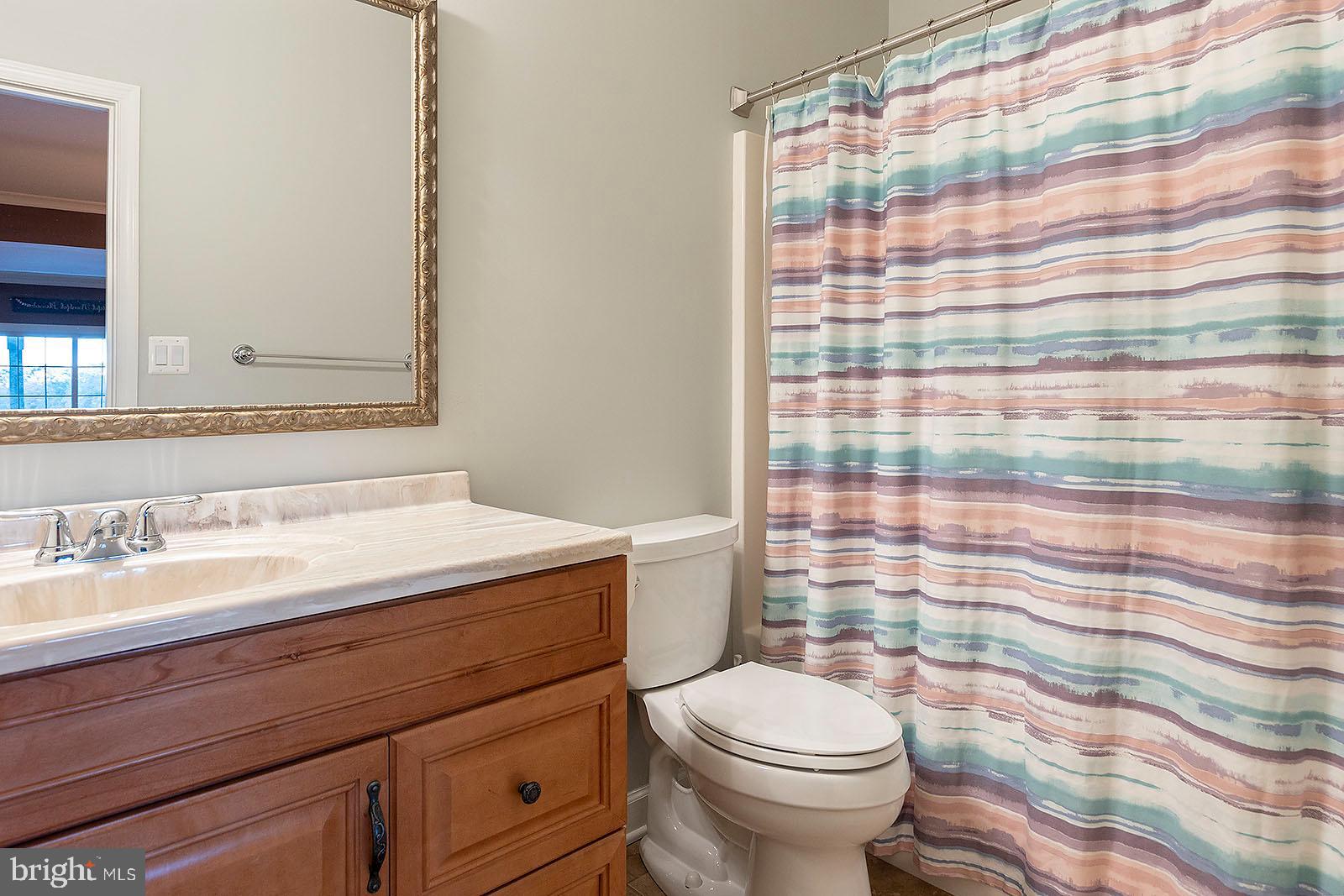 1069 Mitchell Point Road Mineral, VA 23117 - Photo 55 of 77 Full bath on lower level