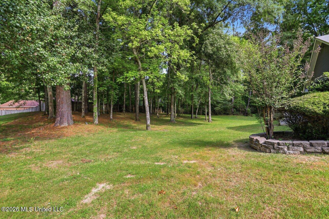 466 Lee Street Byram, MS 39272 - Photo 17 of 25 Lee Lot