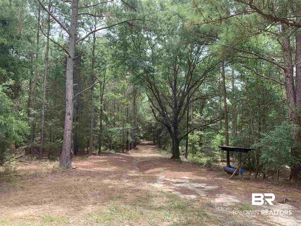 1178 Dry Lake Road Luverne, AL 36049 - Photo 25 of 50