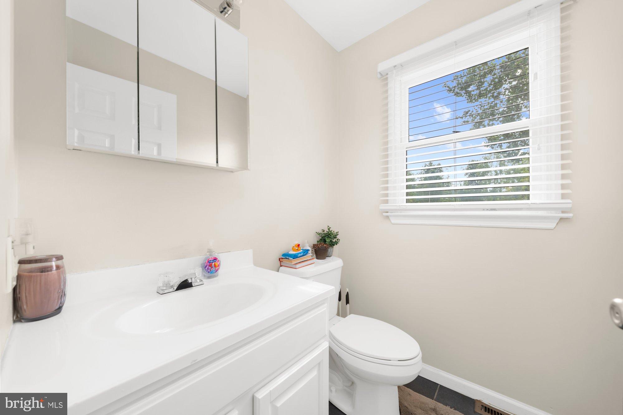 164 South View Road Fleetwood, PA 19522 - Photo 6 of 18 Bright and airy bathroom with natural light.