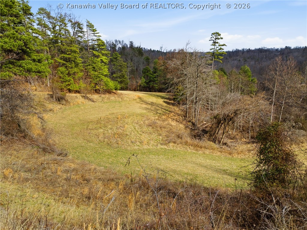 2529 Dry Ridge Road Milton, WV 25541 - Photo 5 of 23 Gallery Image 5