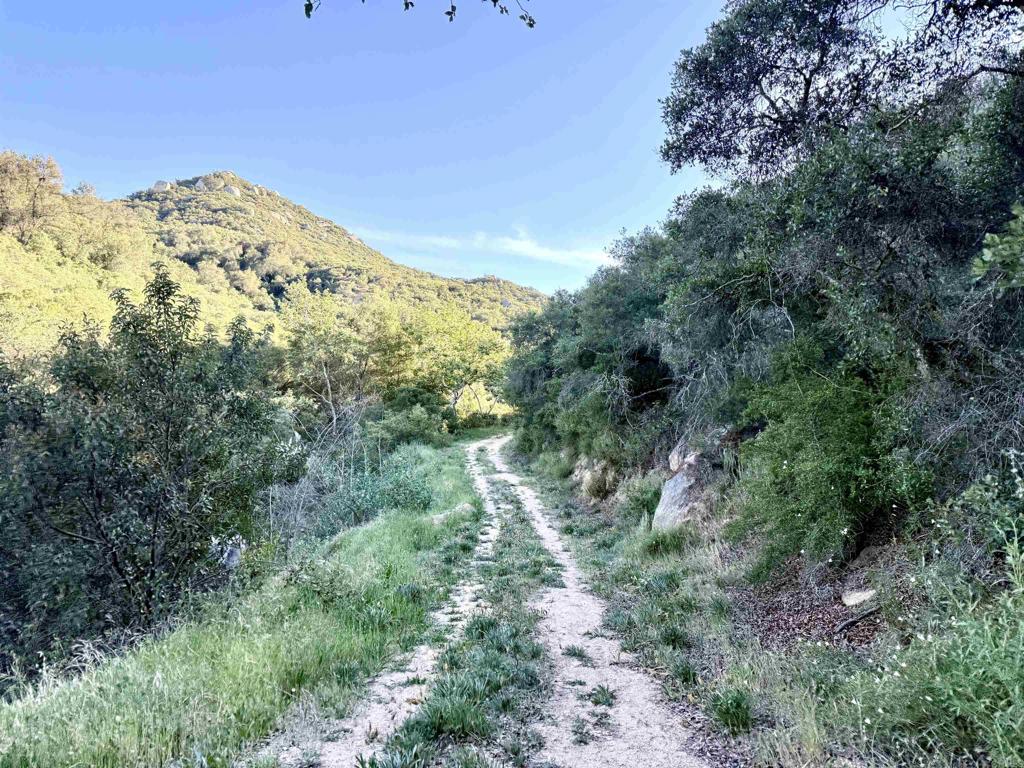 0 Mt Olympus Valley Road Fallbrook, CA 92028 - Photo 13 of 50