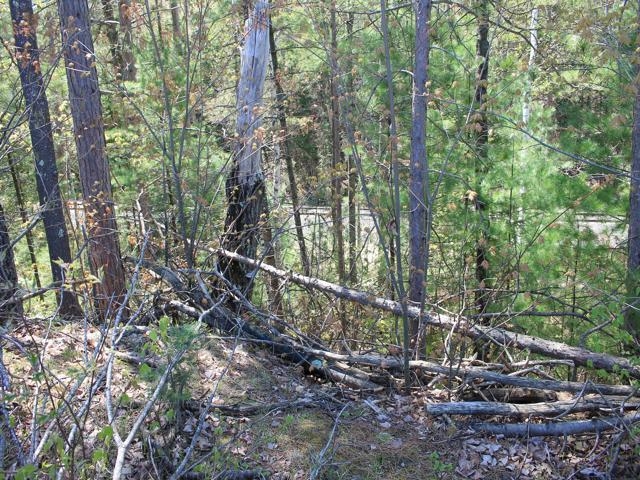 19081 Erickson Drive Dunbar, WI 54119 - Photo 37 of 87