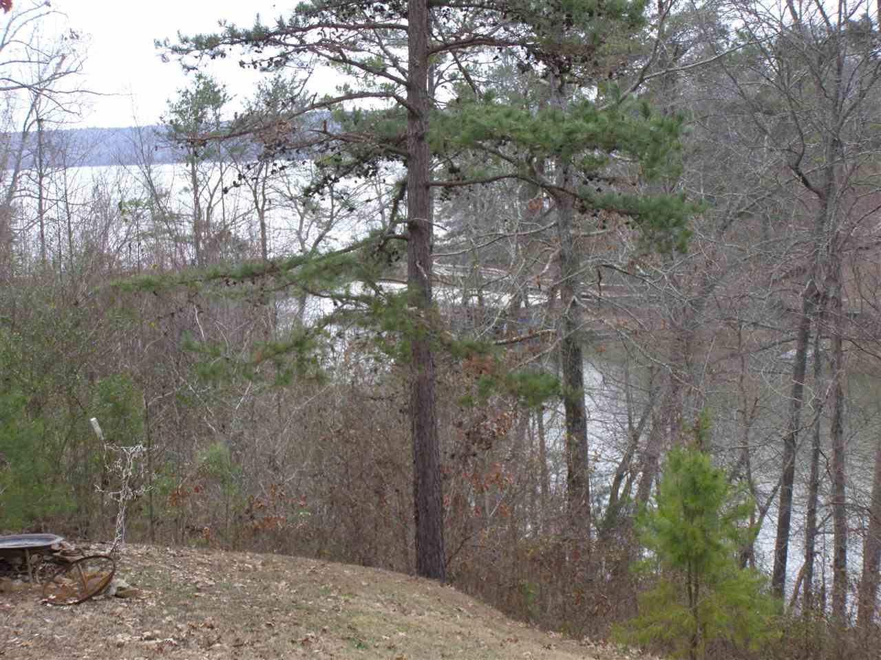 362 Riviera Drive Cherokee, AL 35616 - Photo 4 of 23