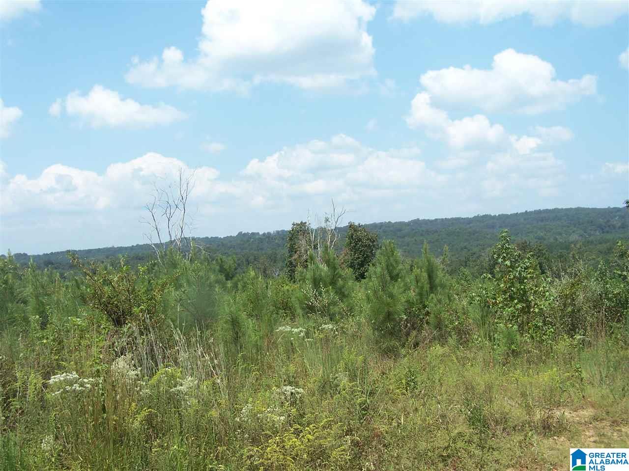 0 Jackson Trail, Unit 140 ACRES Altoona, AL 35952 - Photo 27 of 50