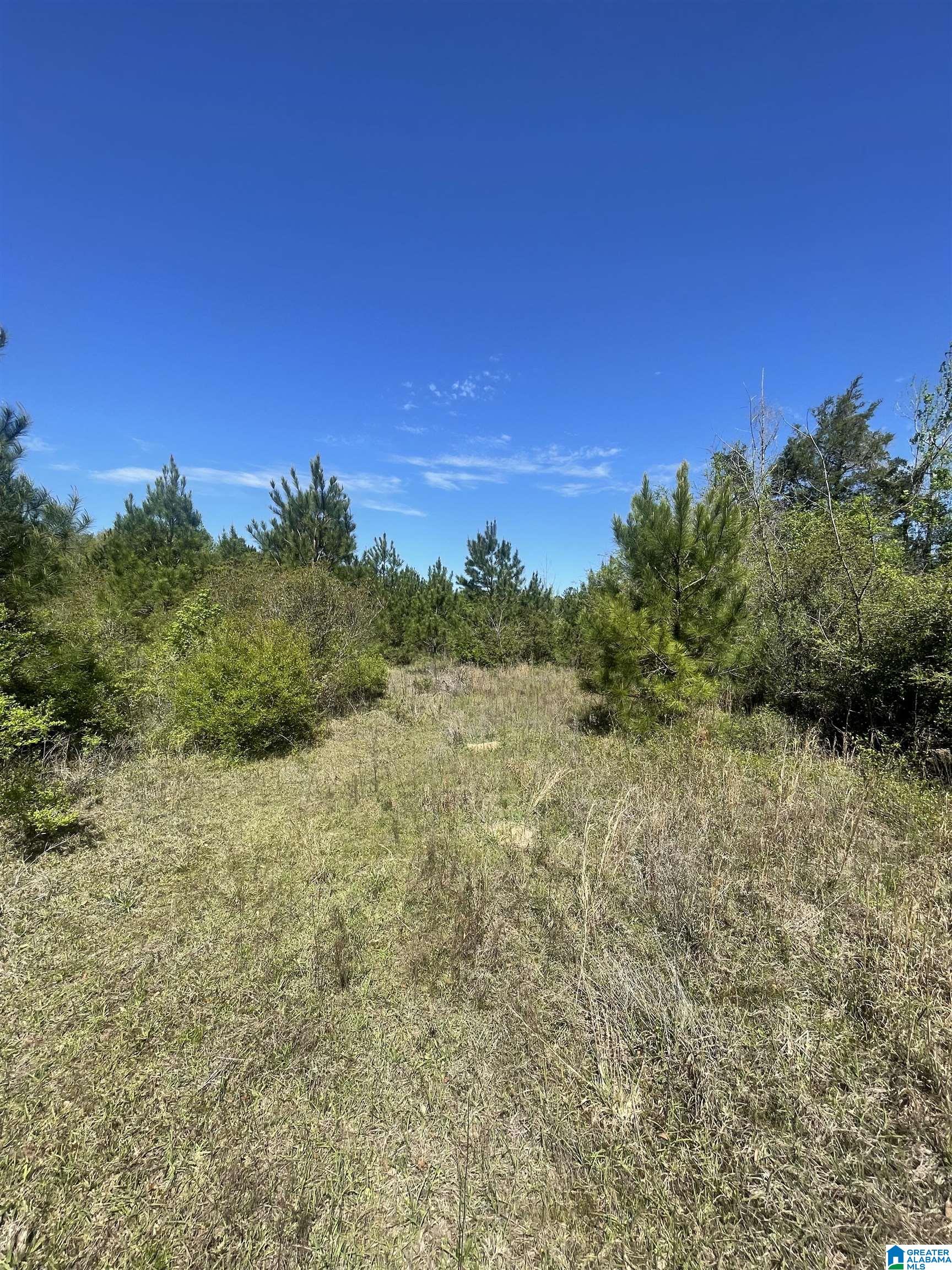 0 Richardson Road Brewton, AL 36426 - Photo 25 of 47