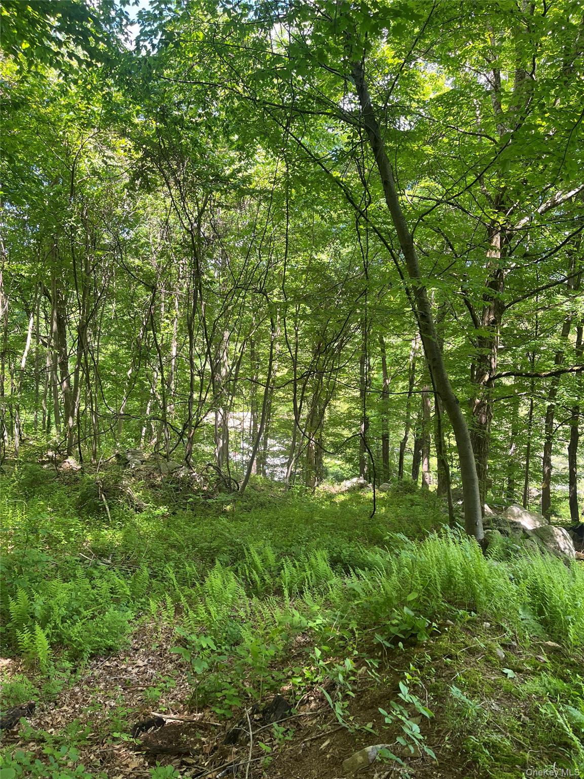 Old Church Road Putnam Valley, NY 10579 - Photo 11 of 26 a big yard with lots of green space and trees