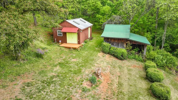 a view of a yard with a tree