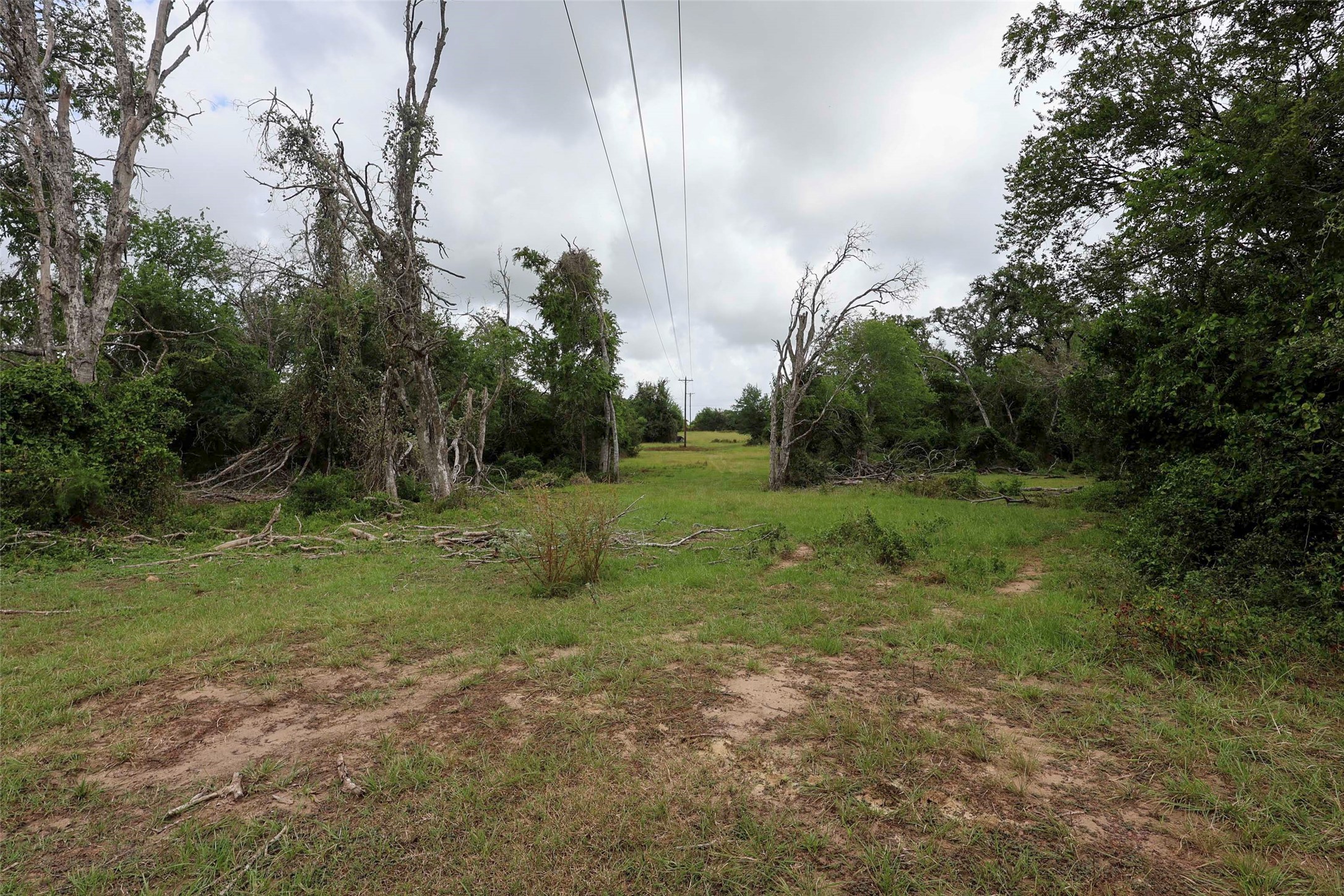 1340 Cr 253 Road Weimar, TX 78962 - Photo 12 of 18
