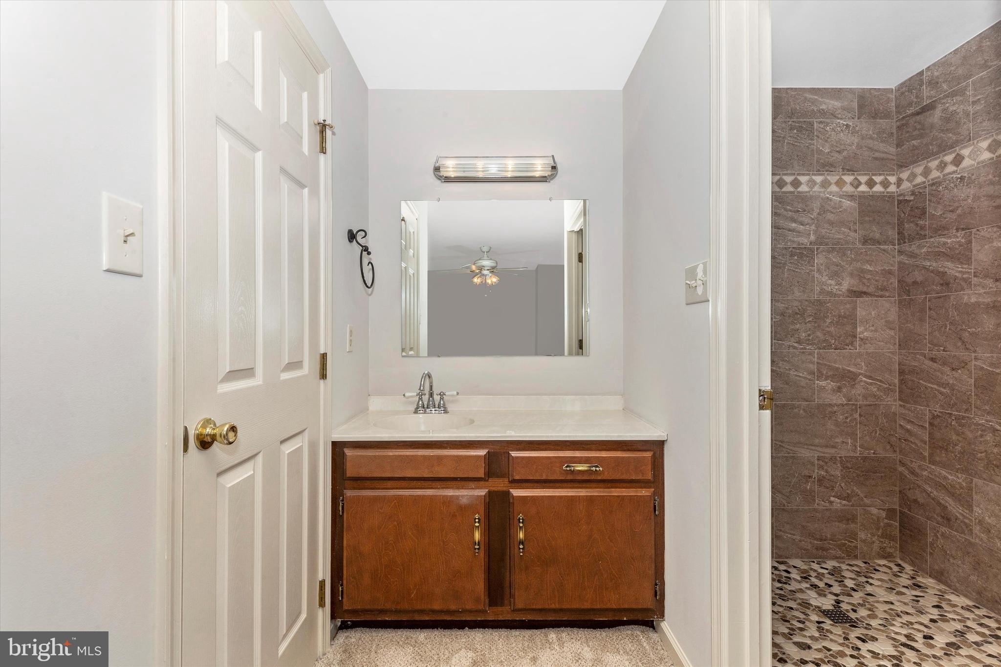 8001 Broken Reed Court Frederick, MD 21701 - Photo 29 of 59 Primary Bathroom
