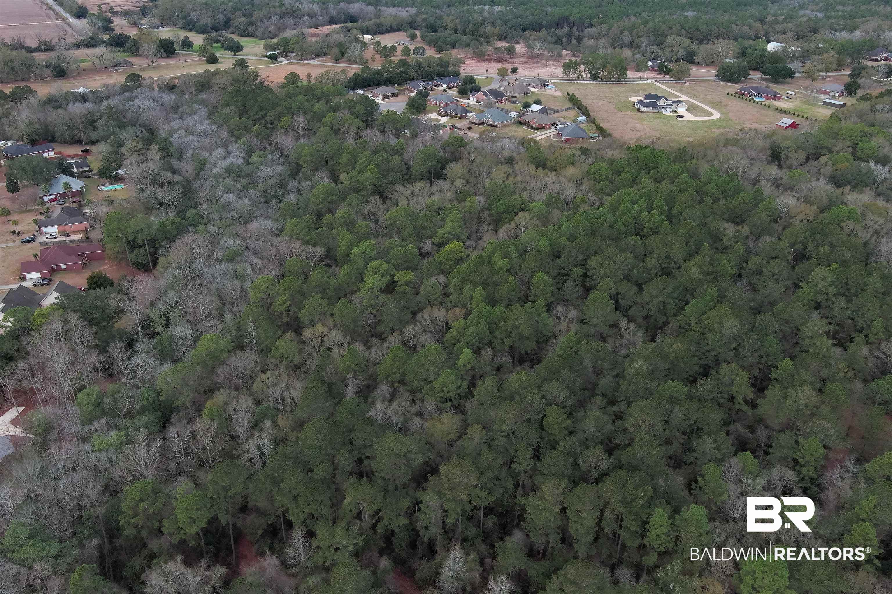 0 North Branson Drive Mobile, AL 36695 - Photo 10 of 20 Drone / aerial view