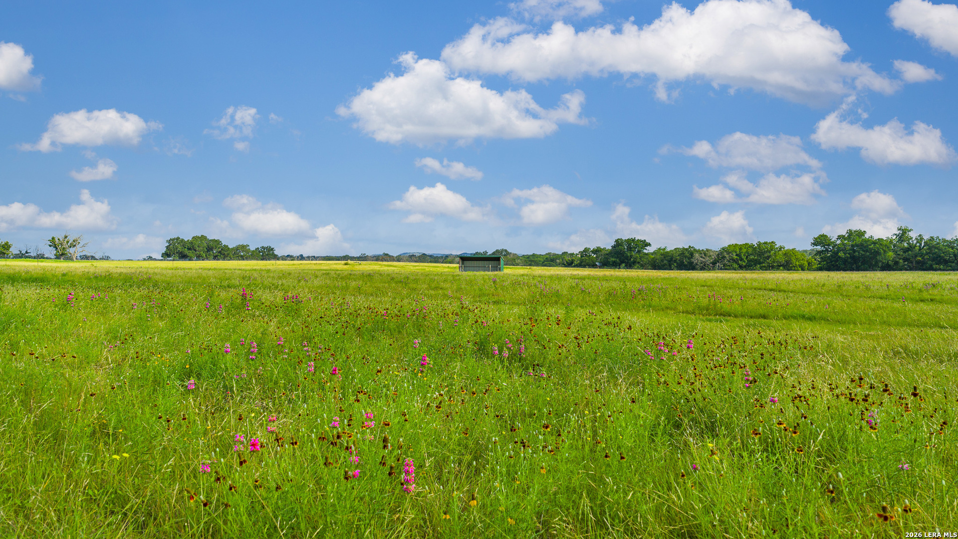 214 Marquardt Road Boerne, TX 78006 - Photo 5 of 65