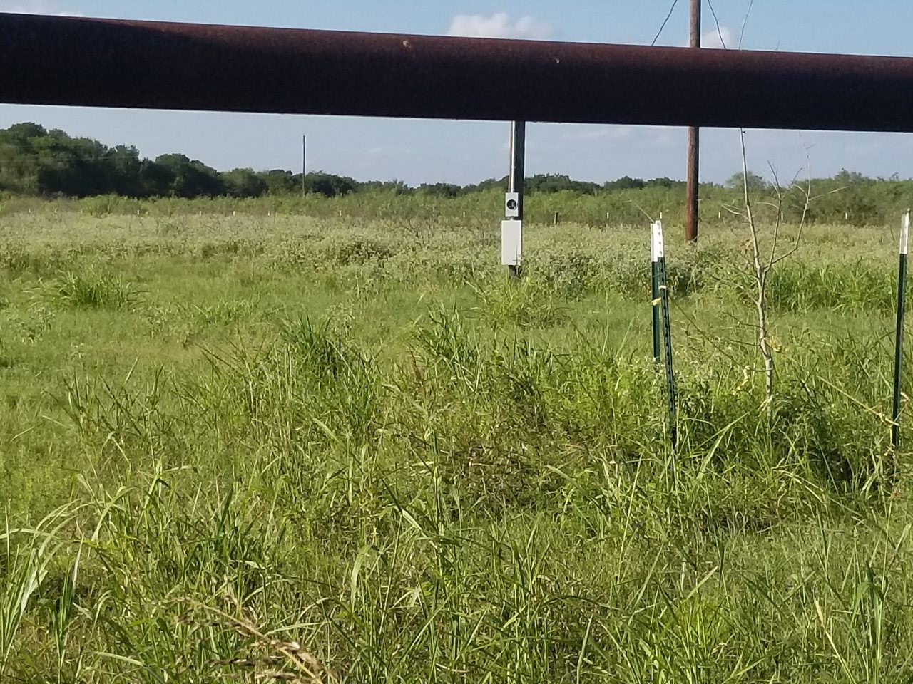 265 Lcr 722 Kosse, TX 76653 - Photo 2 of 9