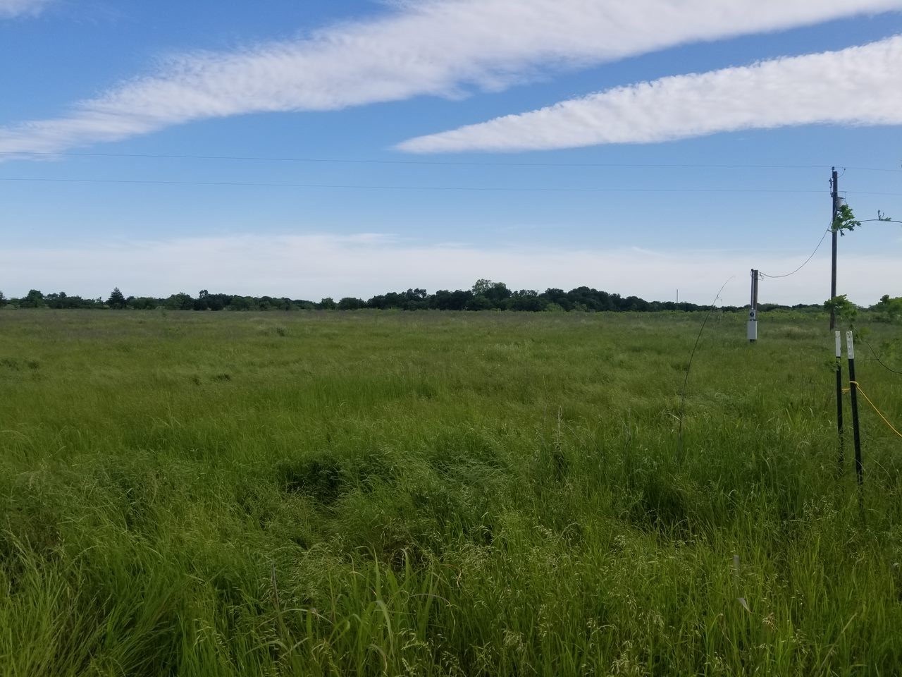 265 Lcr 722 Kosse, TX 76653 - Photo 6 of 9