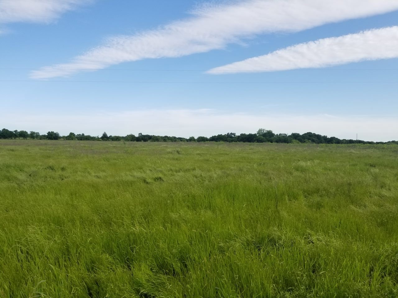 265 Lcr 722 Kosse, TX 76653 - Photo 7 of 9