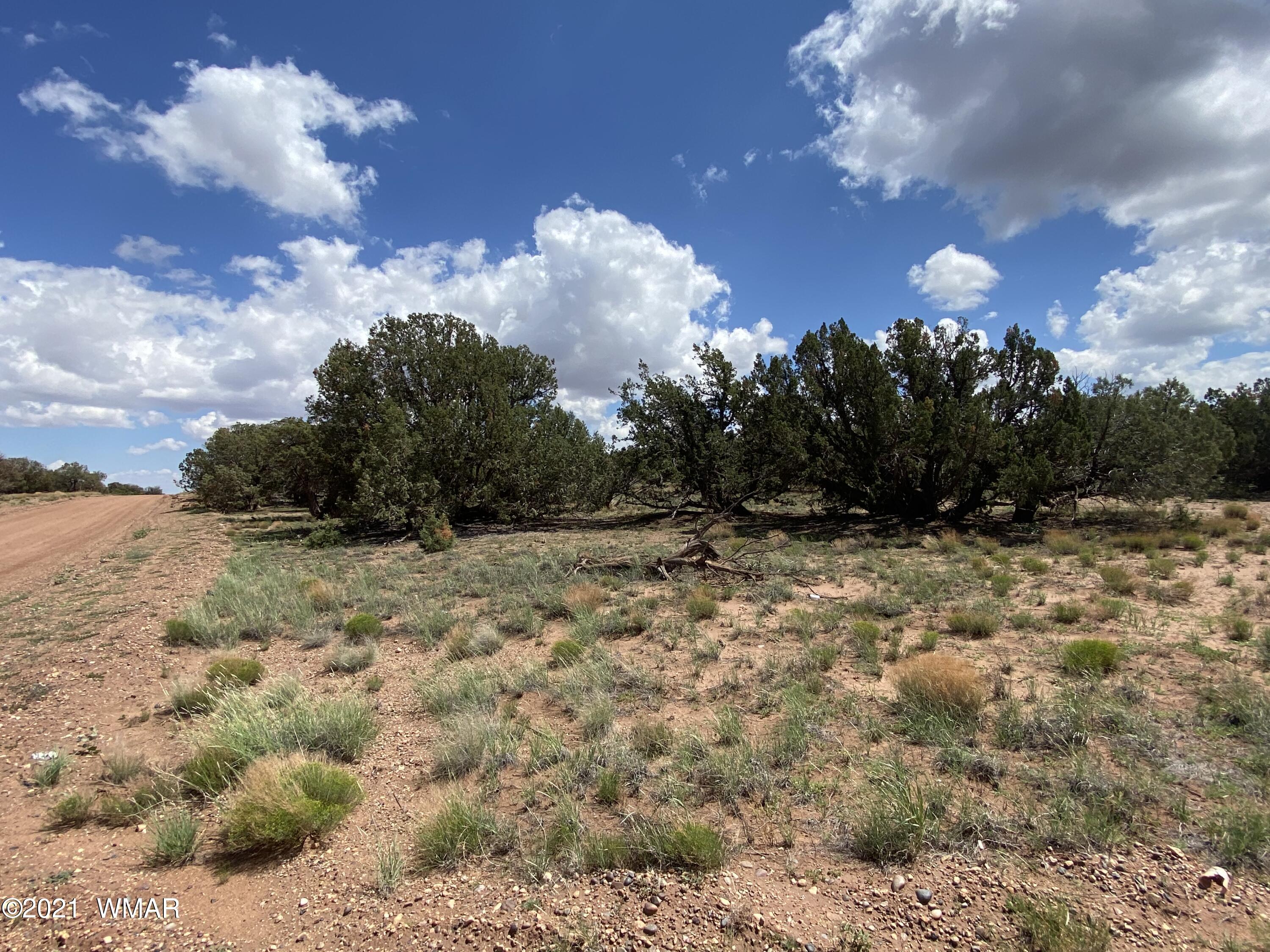 4289 Colt Road Snowflake, AZ 85937 - Photo 1 of 6