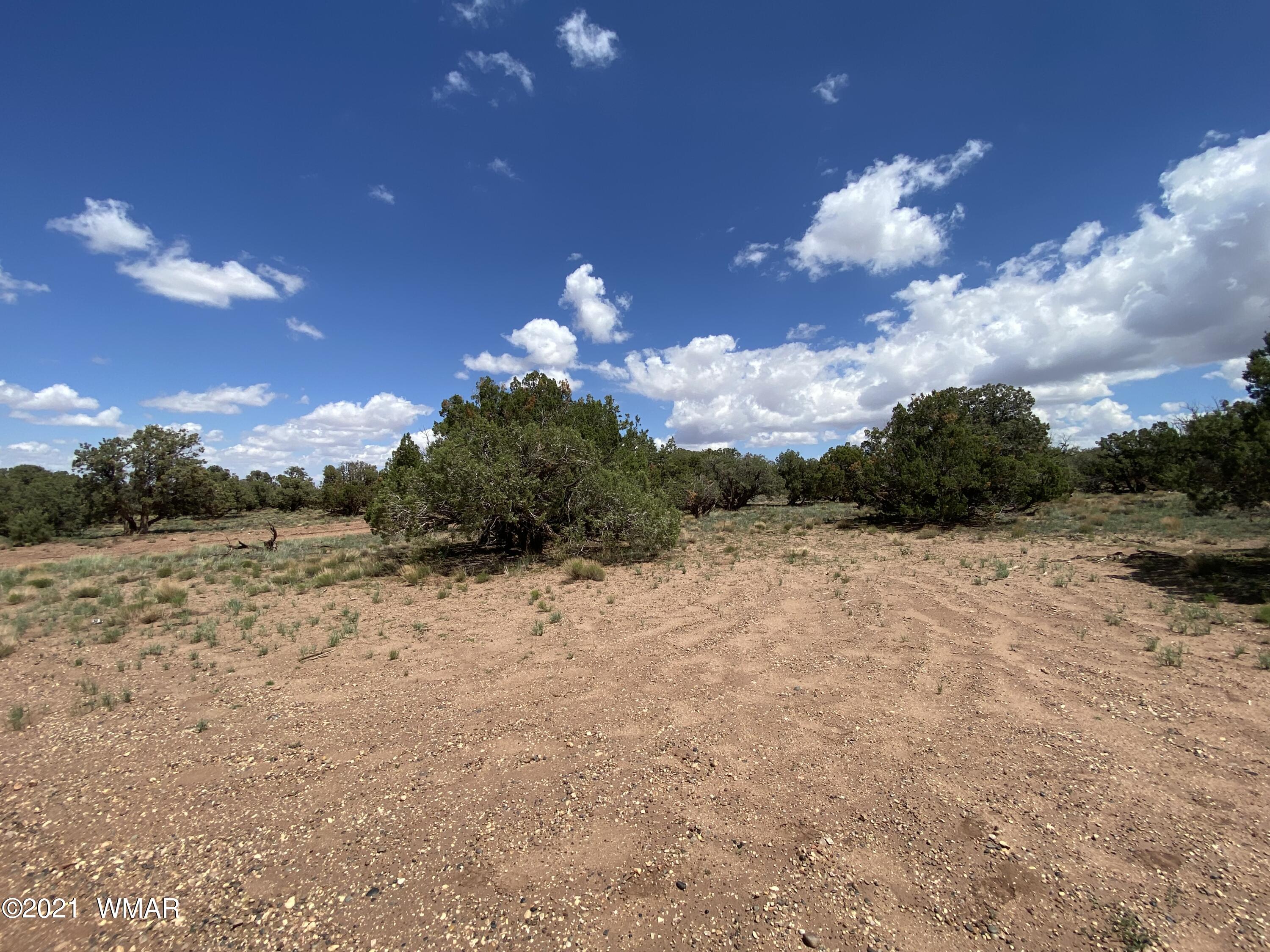 4289 Colt Road Snowflake, AZ 85937 - Photo 3 of 6