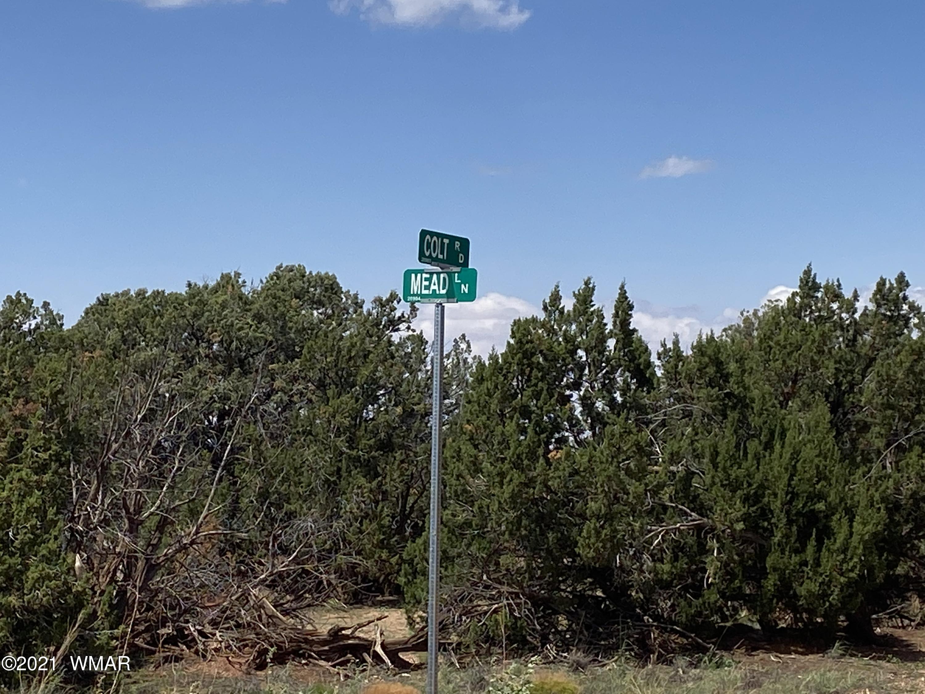 4289 Colt Road Snowflake, AZ 85937 - Photo 4 of 6