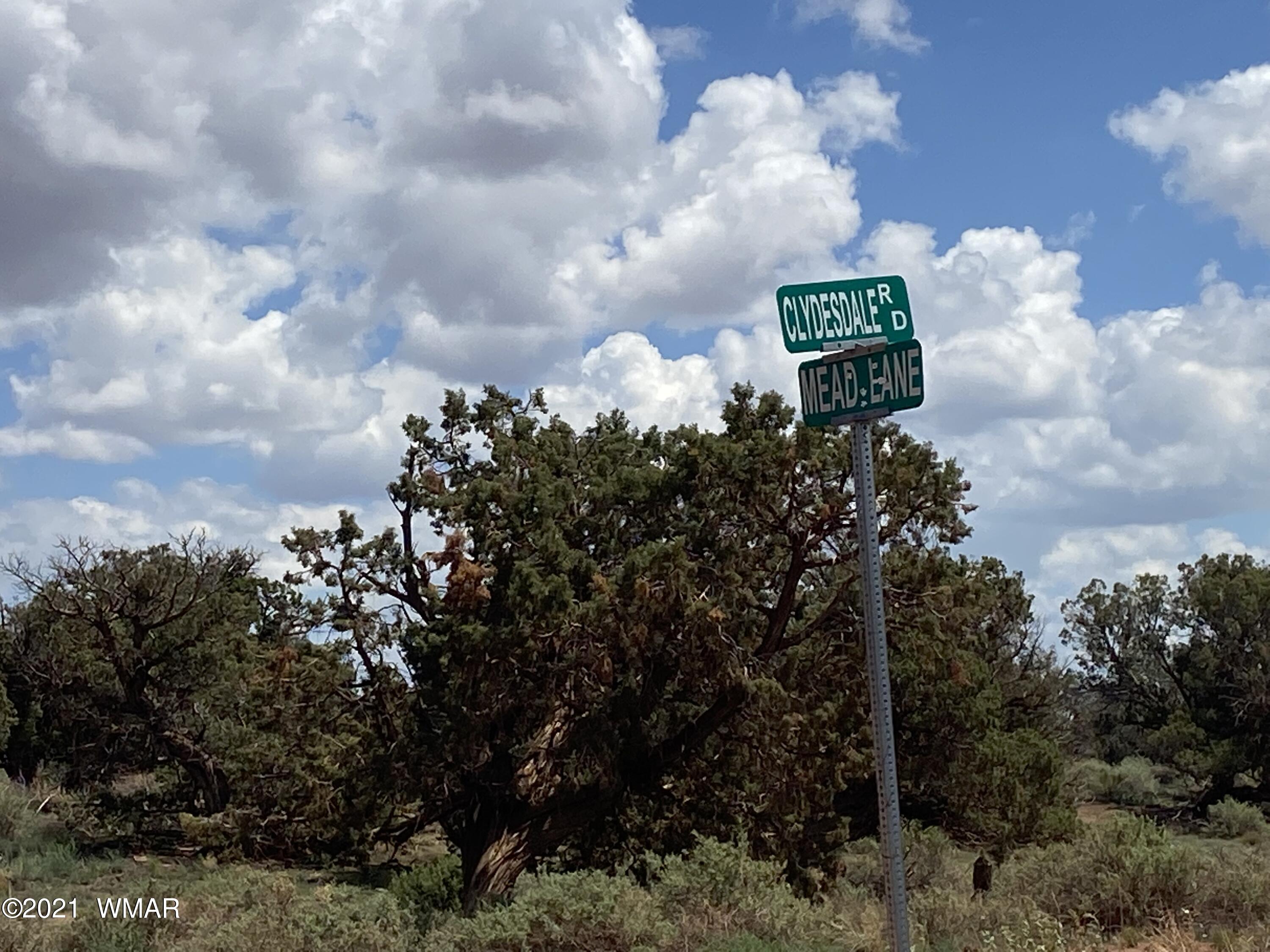 4289 Colt Road Snowflake, AZ 85937 - Photo 5 of 6