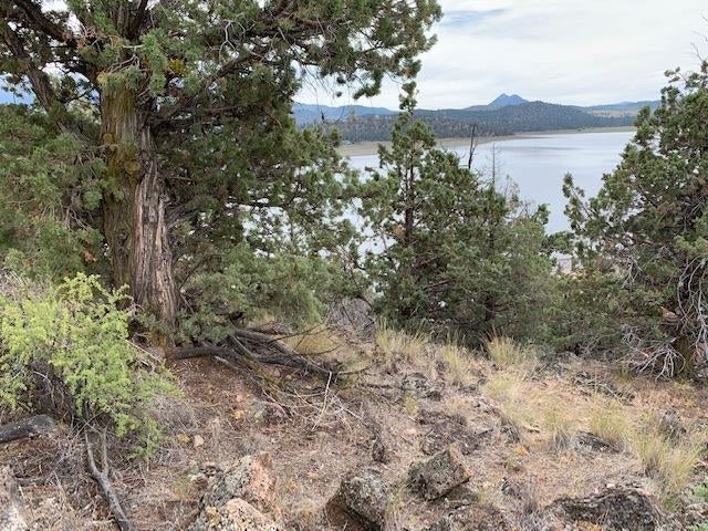 9-2 Lot 158 Elk Ridge Road Weed, CA 96094 - Photo 1 of 41 Gallery Image 1