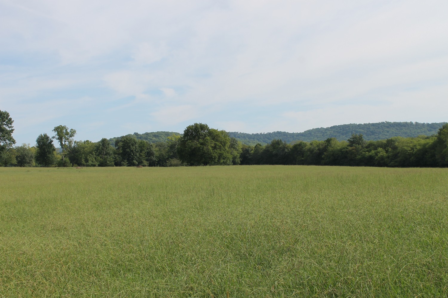 171 Jess Reed Road Readyville, TN 37149 - Photo 14 of 15 Gallery Image 14
