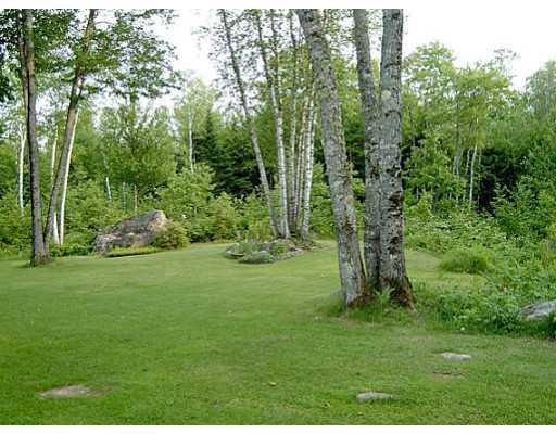166 Borough Road Chesterville, ME 04938 - Photo 21 of 22 Yard/Garden. Backyard
