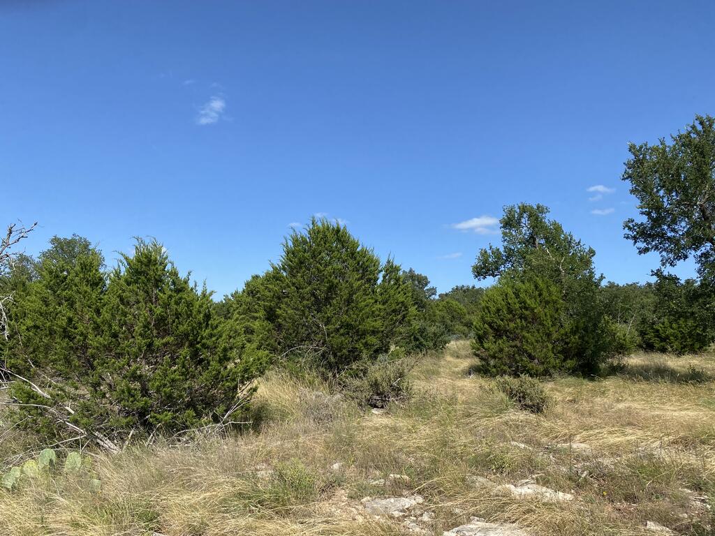 5 Jack Rabbit Road, Unit 5 Doss, TX 78618 - Photo 9 of 11 Gallery Image 9