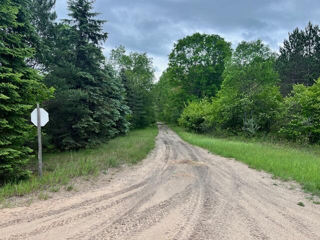 10-acres Brewer Road Brethren, MI 49619 - Photo 12 of 17 IMG_1022