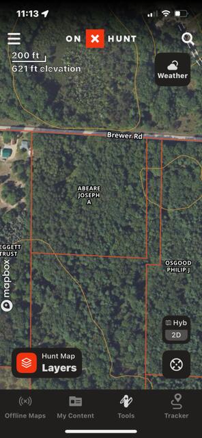 10-acres Brewer Road Brethren, MI 49619 - Photo 10 of 17 IMG_0997