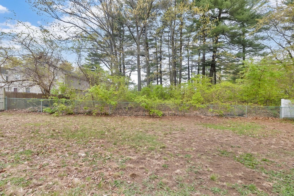 20 Ivan Street Springfield, MA 01104 - Photo 39 of 41 Gallery Image 39