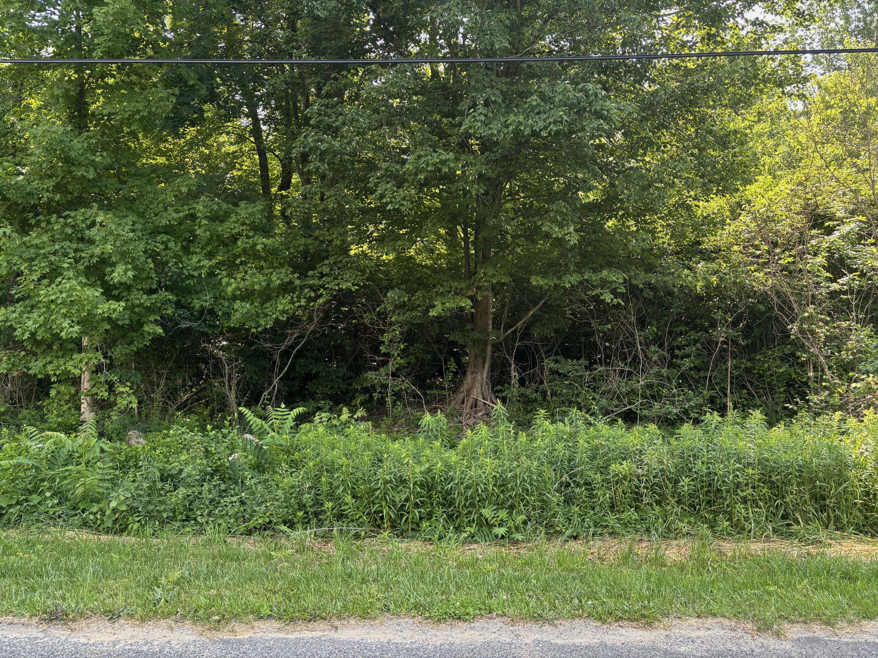 6427 Harrison Street Coloma, MI 49038 - Photo 1 of 4 IMG_5273 (1)