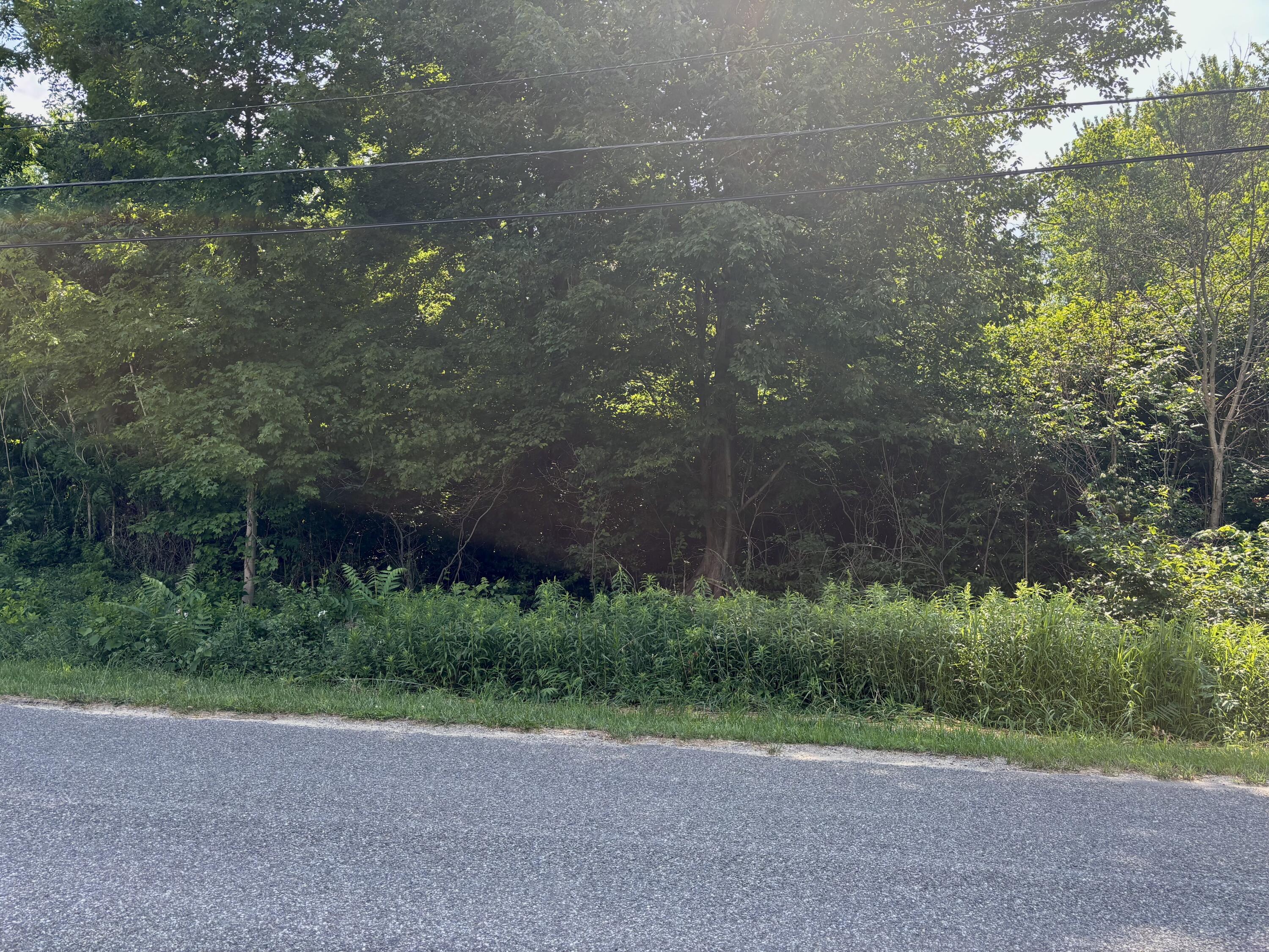 6427 Harrison Street Coloma, MI 49038 - Photo 2 of 4 IMG_5272 (1)