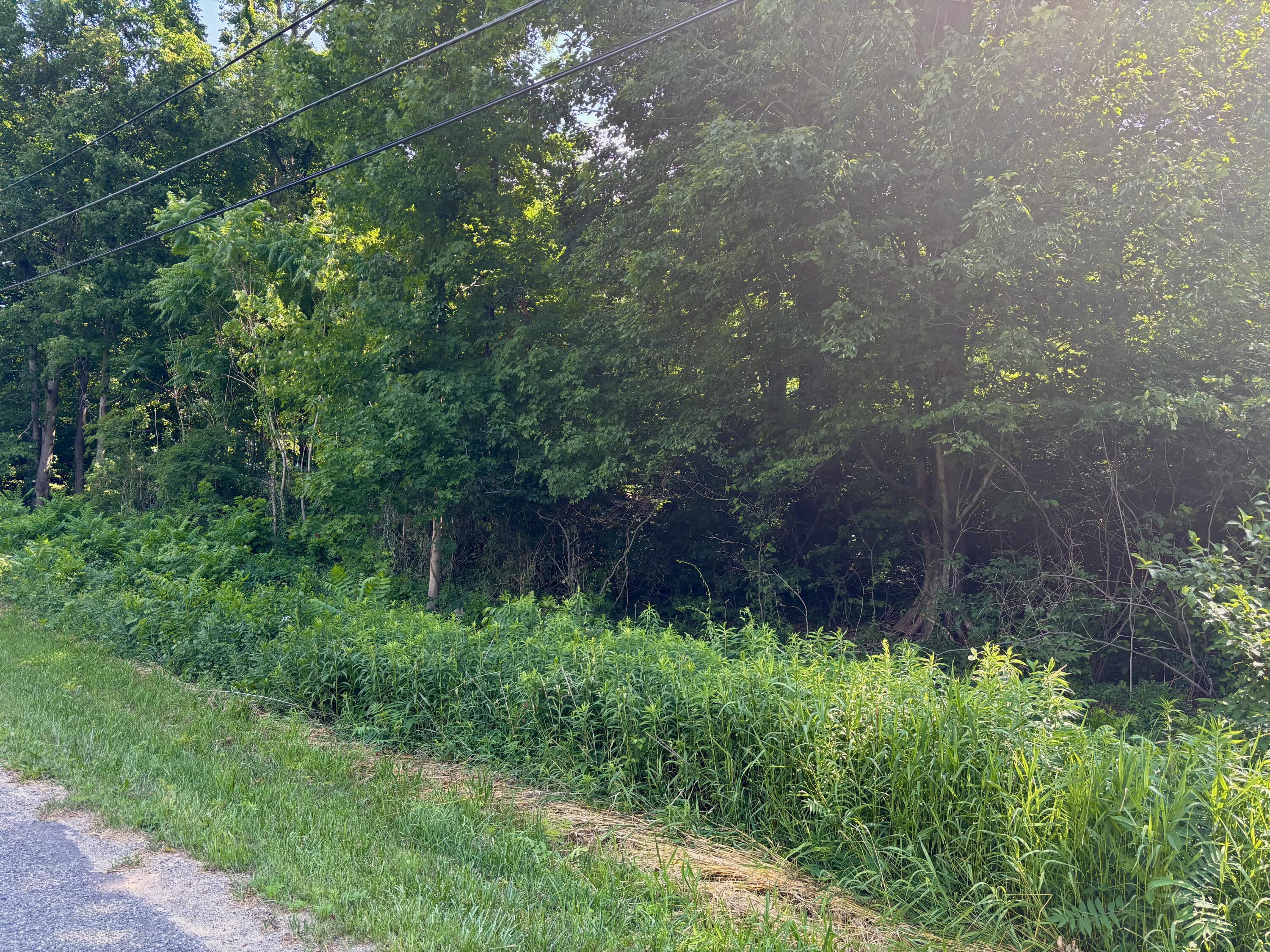 6427 Harrison Street Coloma, MI 49038 - Photo 3 of 4 IMG_5271 (1)