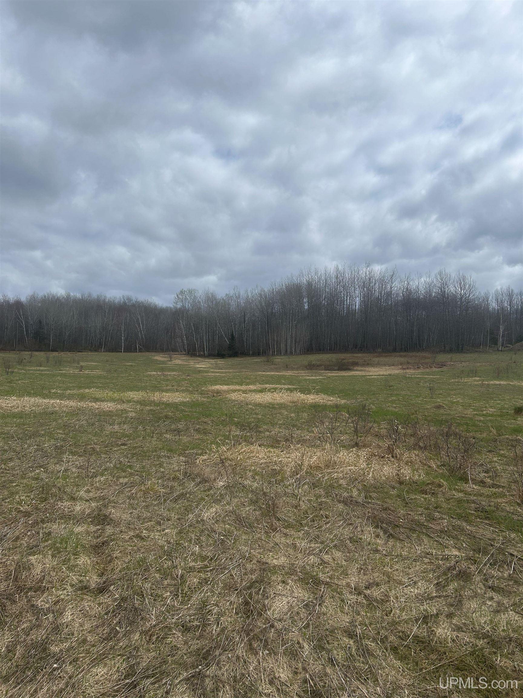 Tbd 10-1 Mill Pond Road Trout Creek, MI 49967 - Photo 20 of 23