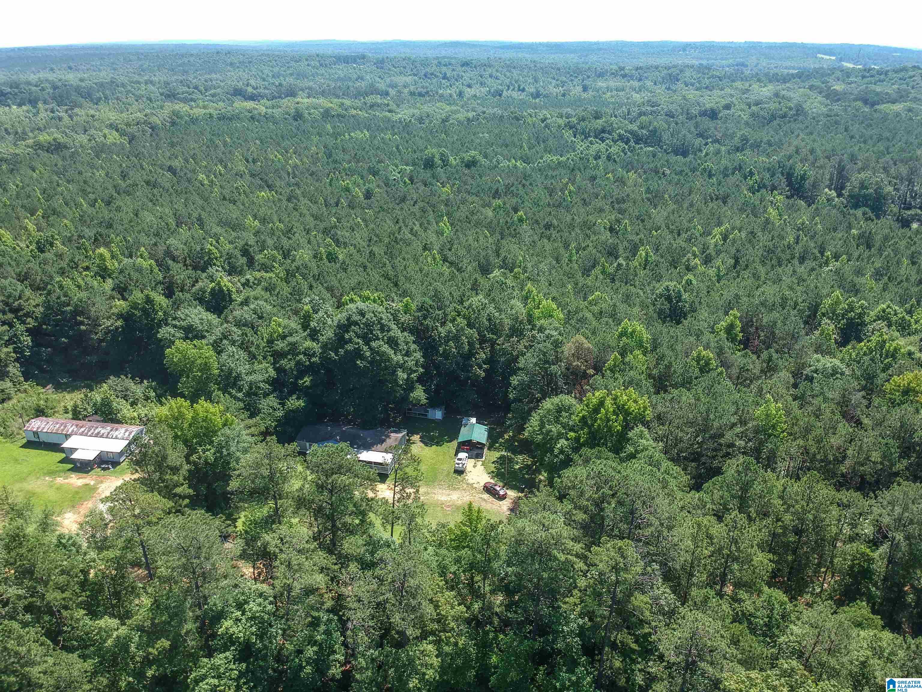 184 Price Road Reform, AL 35481 - Photo 9 of 51 Gallery Image 9