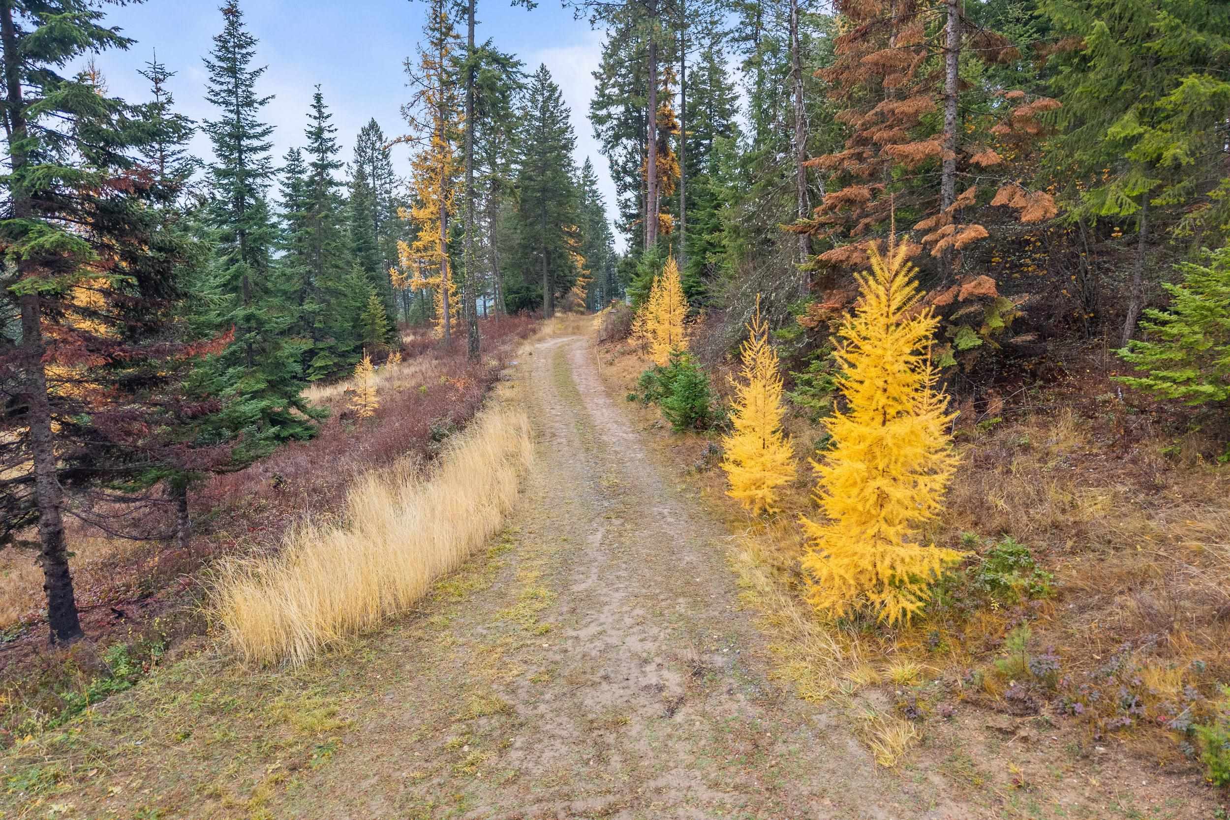 717 C Finley Gulch Road Colville, WA 99114 - Photo 2 of 8
