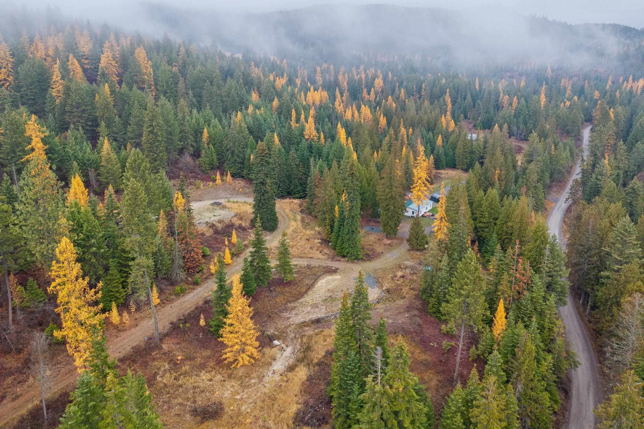 717 C Finley Gulch Road Colville, WA 99114 - Photo 4 of 8