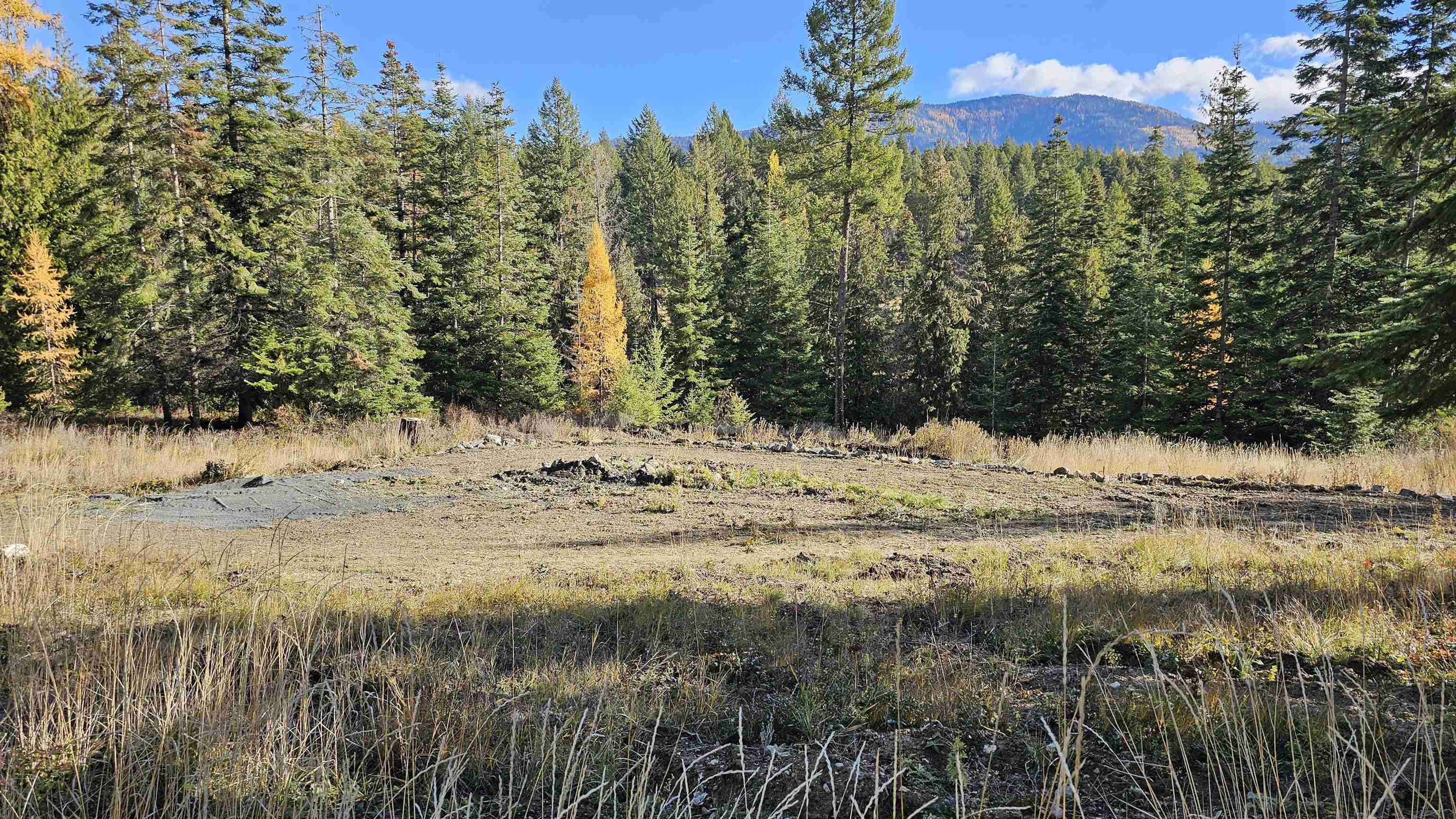 717 C Finley Gulch Road Colville, WA 99114 - Photo 5 of 8
