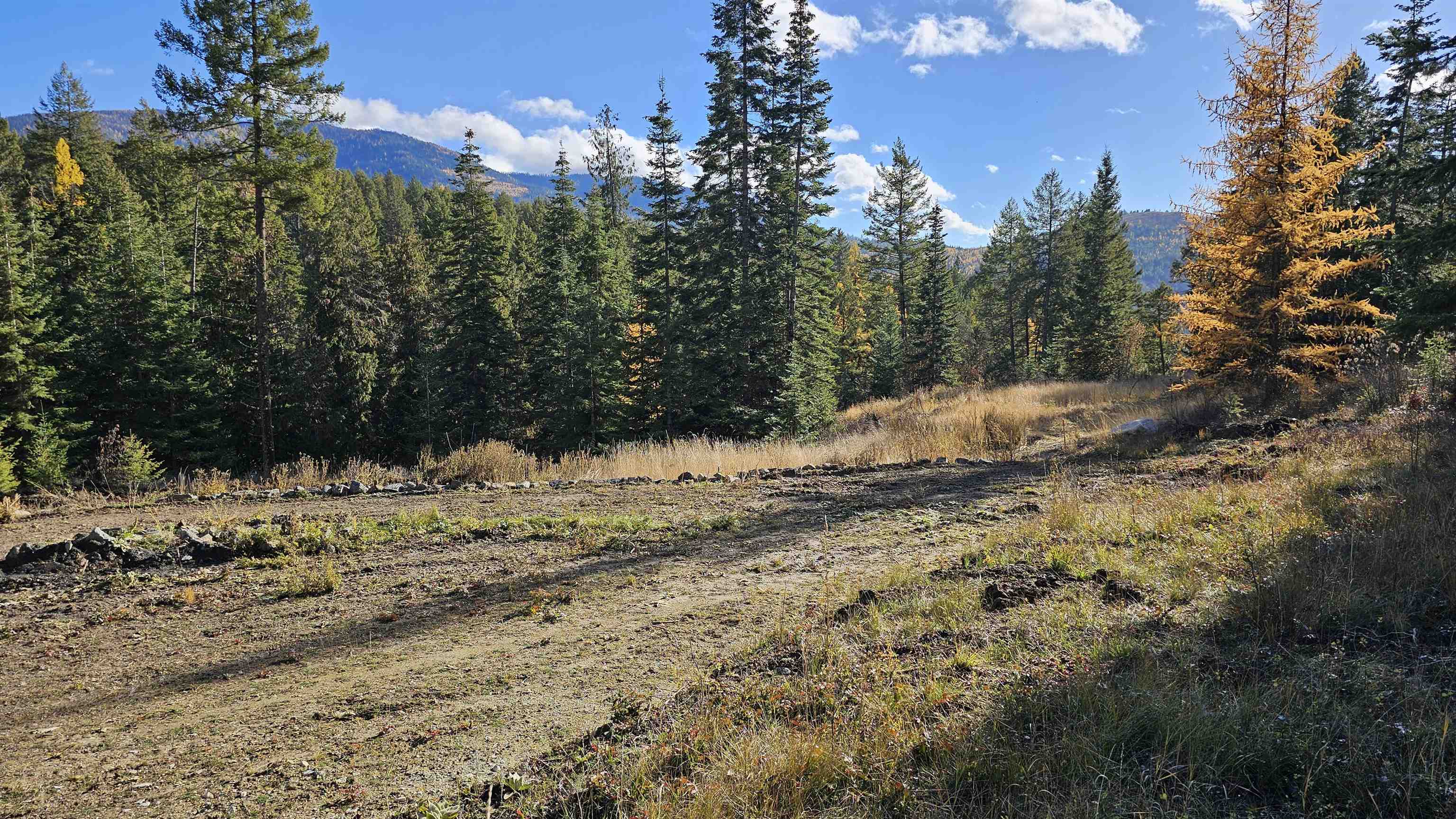 717 C Finley Gulch Road Colville, WA 99114 - Photo 6 of 8